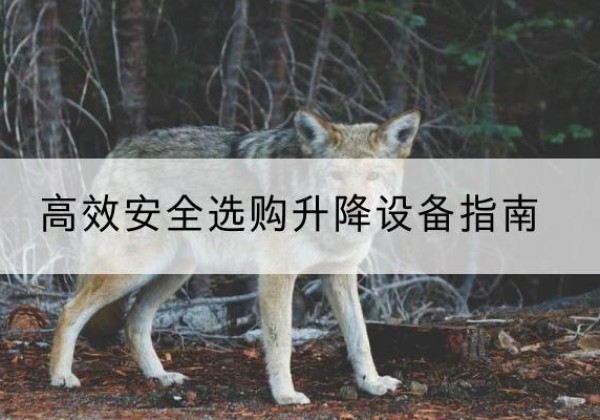 溆浦升降货梯厂家推荐-*安全选购升降设备指南