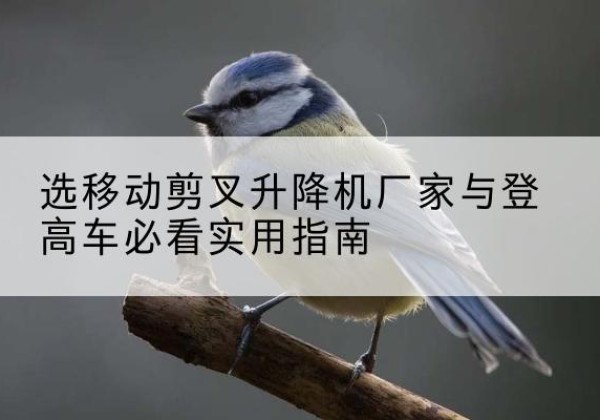 溆浦电动升降机厂家-选移动剪叉升降机厂家与登高车必看实用指南