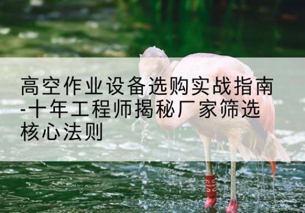溆浦剪叉式升降机厂家-高空作业设备选购实战指南-十年工程师揭秘厂家筛选核心法则
